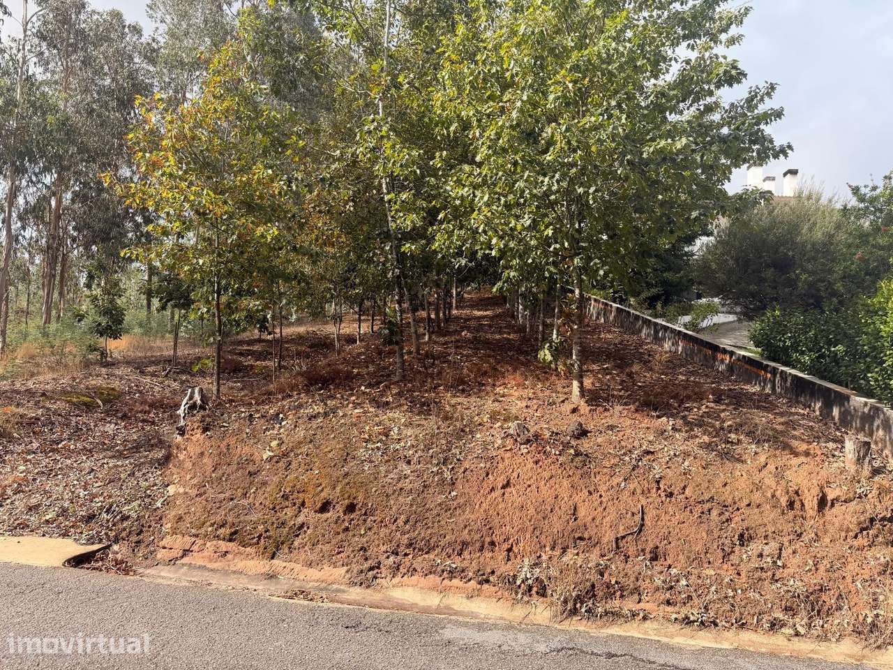 Terreno em Óis da Ribeira para construção de moradia - Grande imagem: 4/6