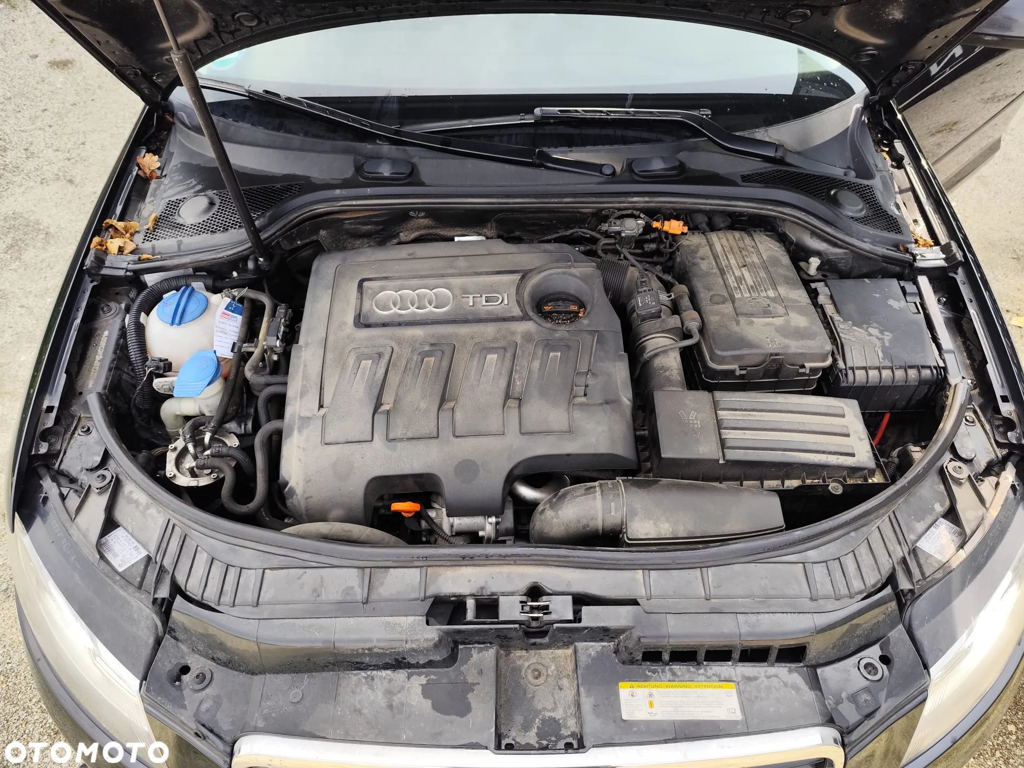 Audi A3 1.6 TDI Ambiente - 11