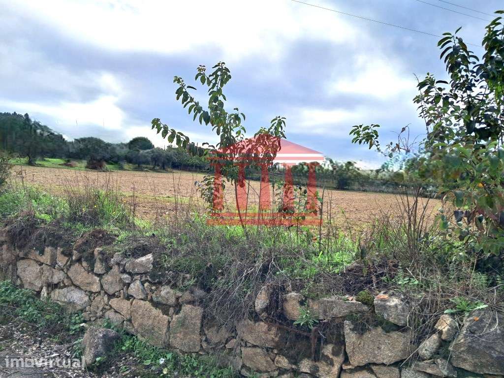 TERRENO PARA CONSTRUÇÃO PARA VENDA EM BARCELOS - Grande imagem: 5/7