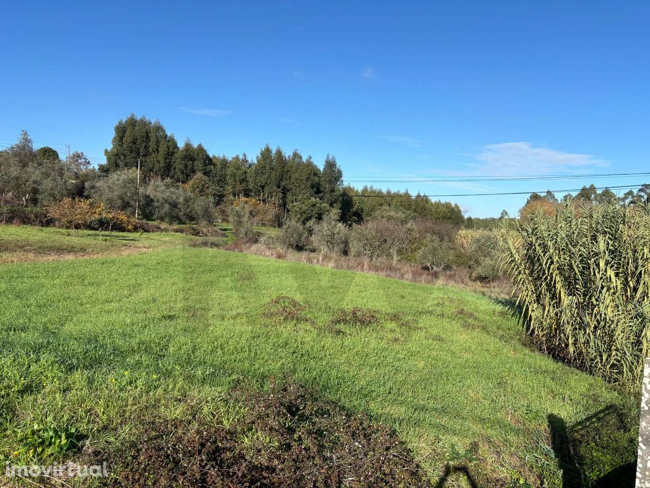 Oportunidade de investimento: Terreno com potencial construtivo em Tom - Grande imagem: 2/9