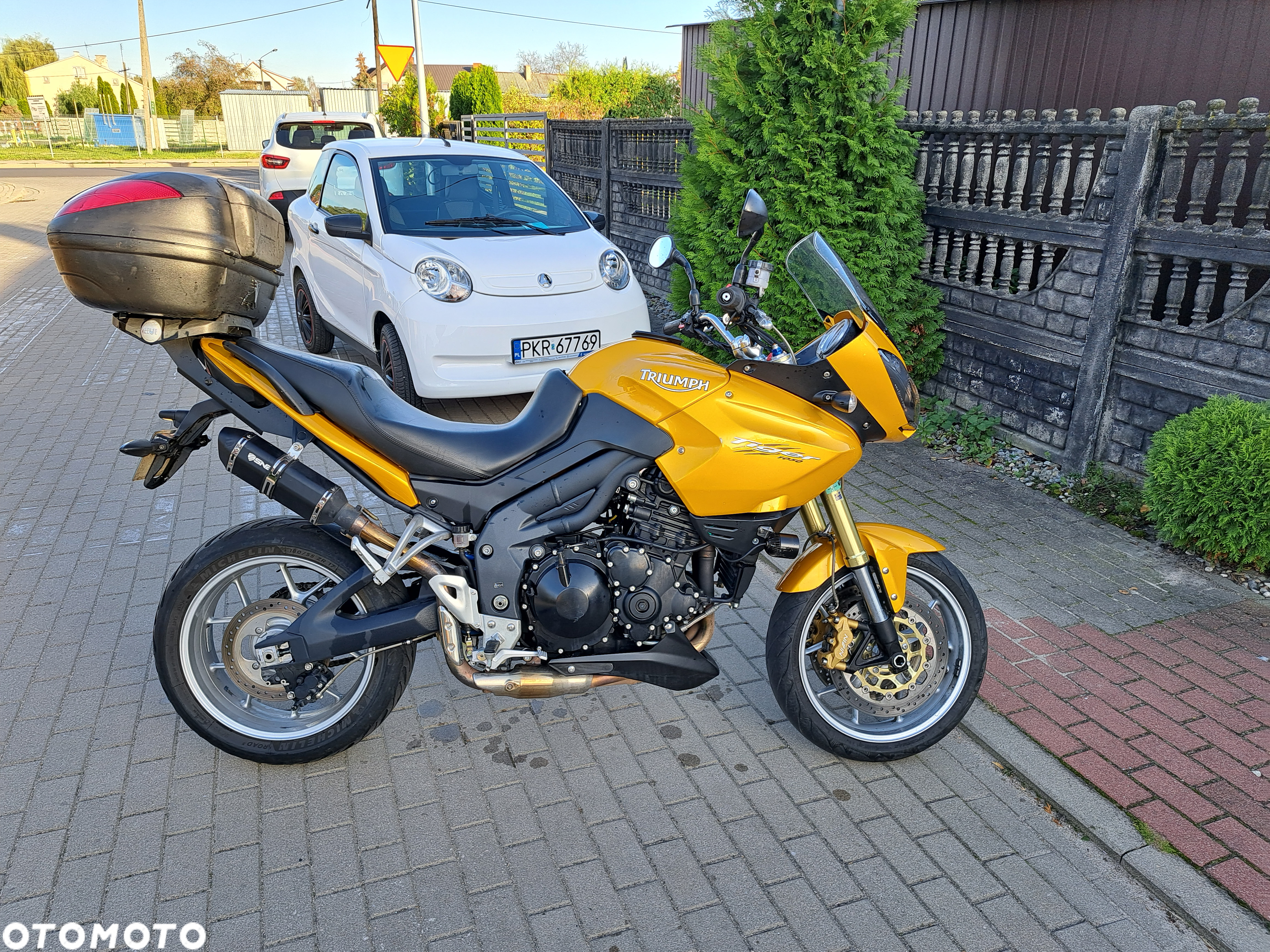 Triumph Tiger - 3