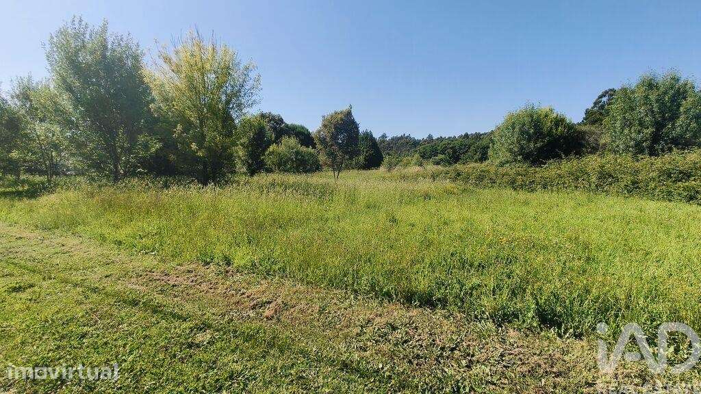 Terreno Agrícola em Vilar de Mouros - Grande imagem: 5/9