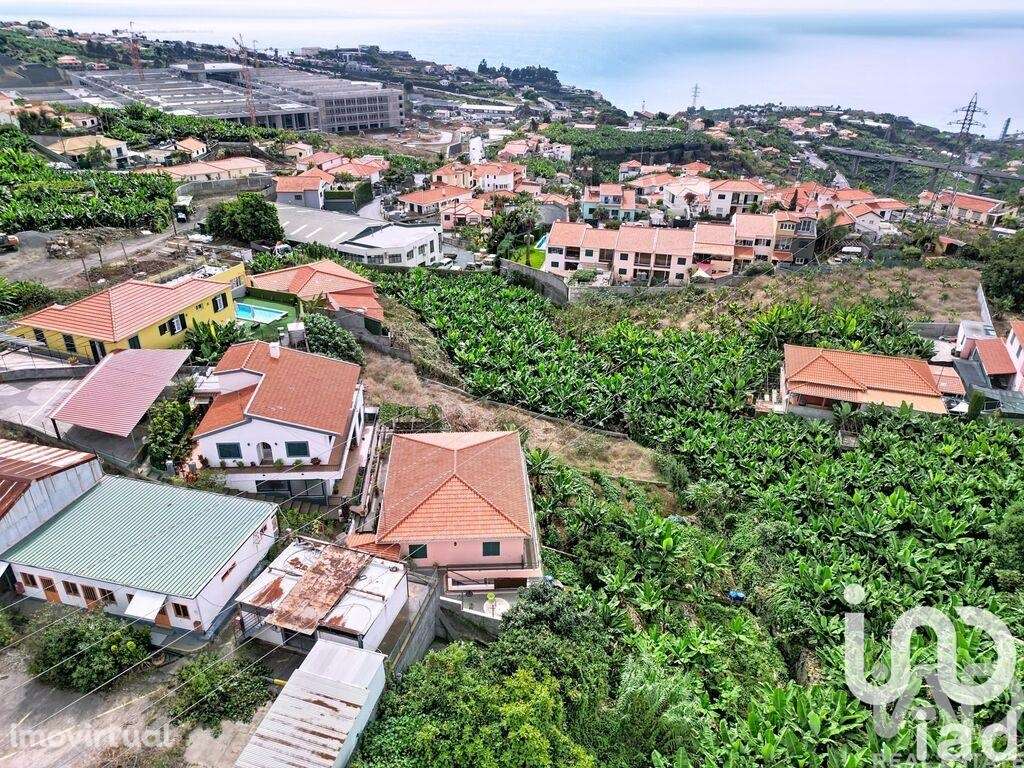 Terreno Agrícola em São Martinho - Grande imagem: 2/10