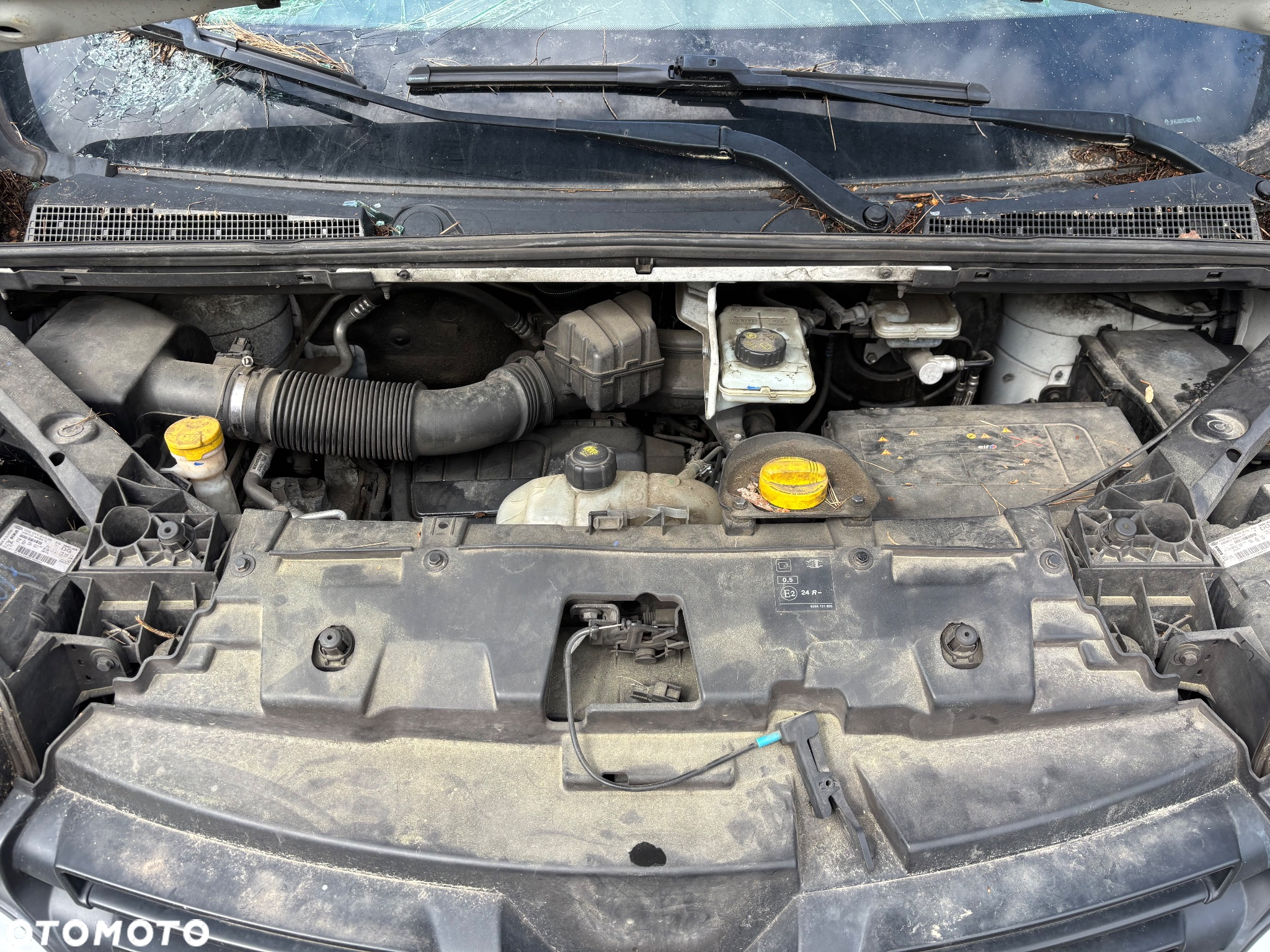 Renault Trafic - 10