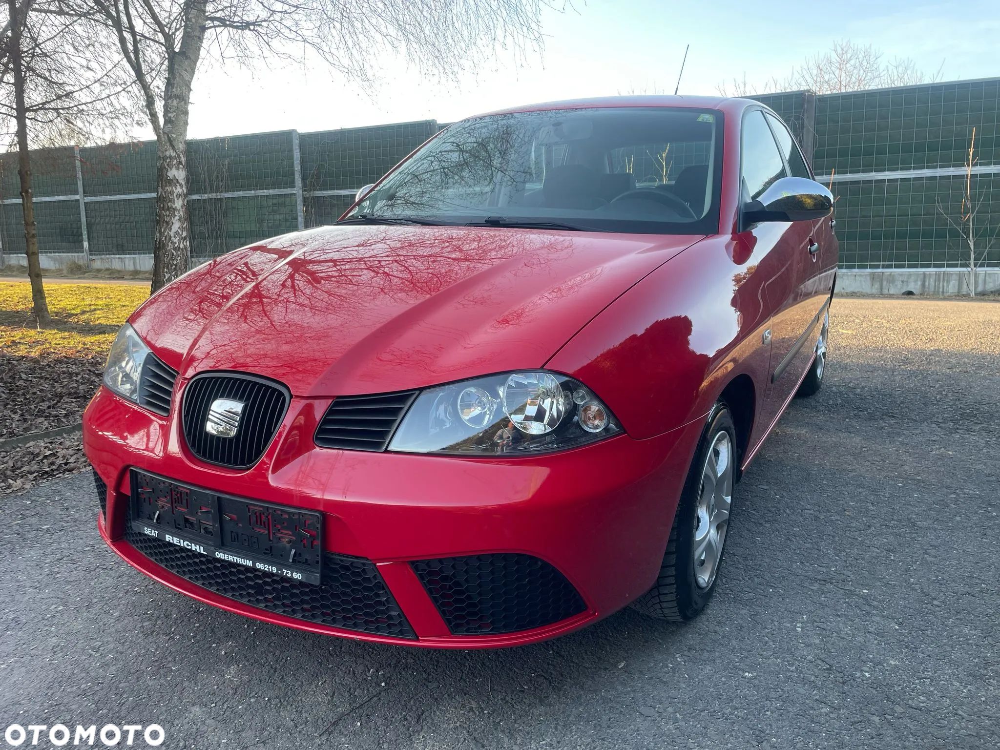 Seat Ibiza - 1