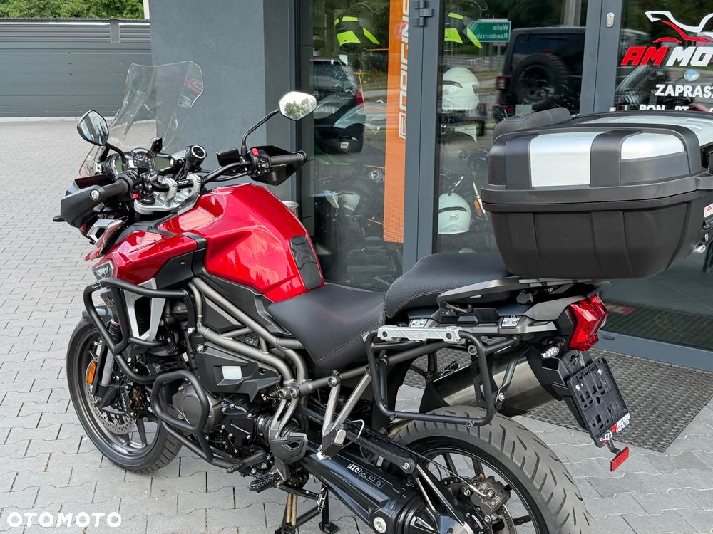 Triumph Tiger - 30