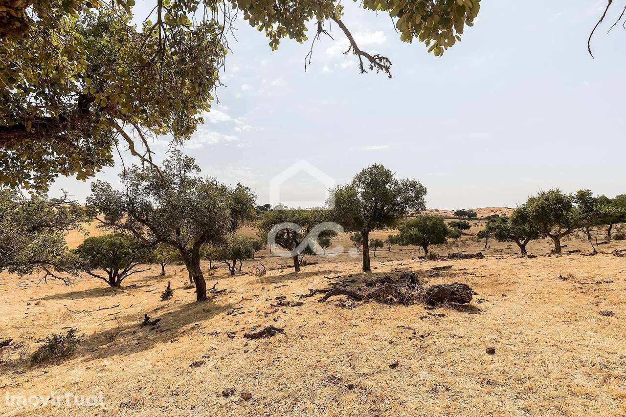 Terreno Rústico de 3,825 ha c/ Sobral | Reguengos de Monsaraz, Évora - Grande imagem: 5/23
