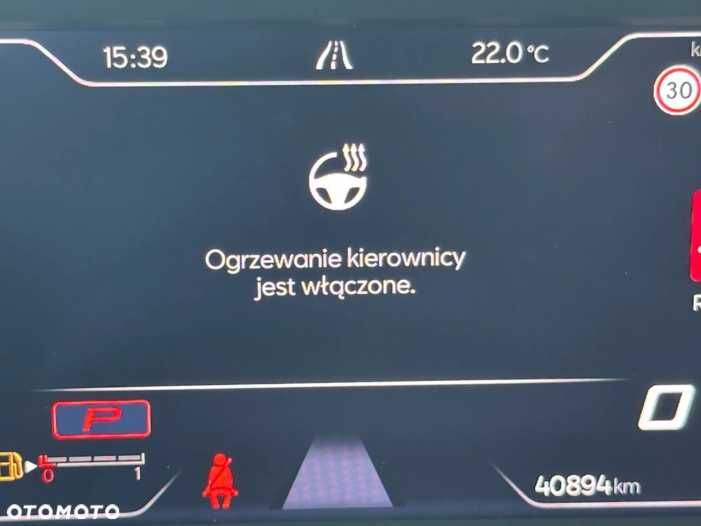 Cupra Formentor 2.0 TSI 4Drive VZ DSG - 25