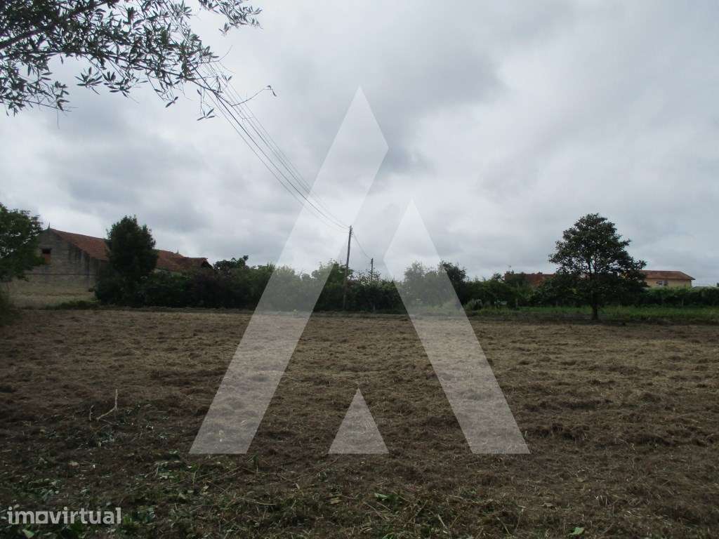 Terreno em Bustos - Grande imagem: 3/5
