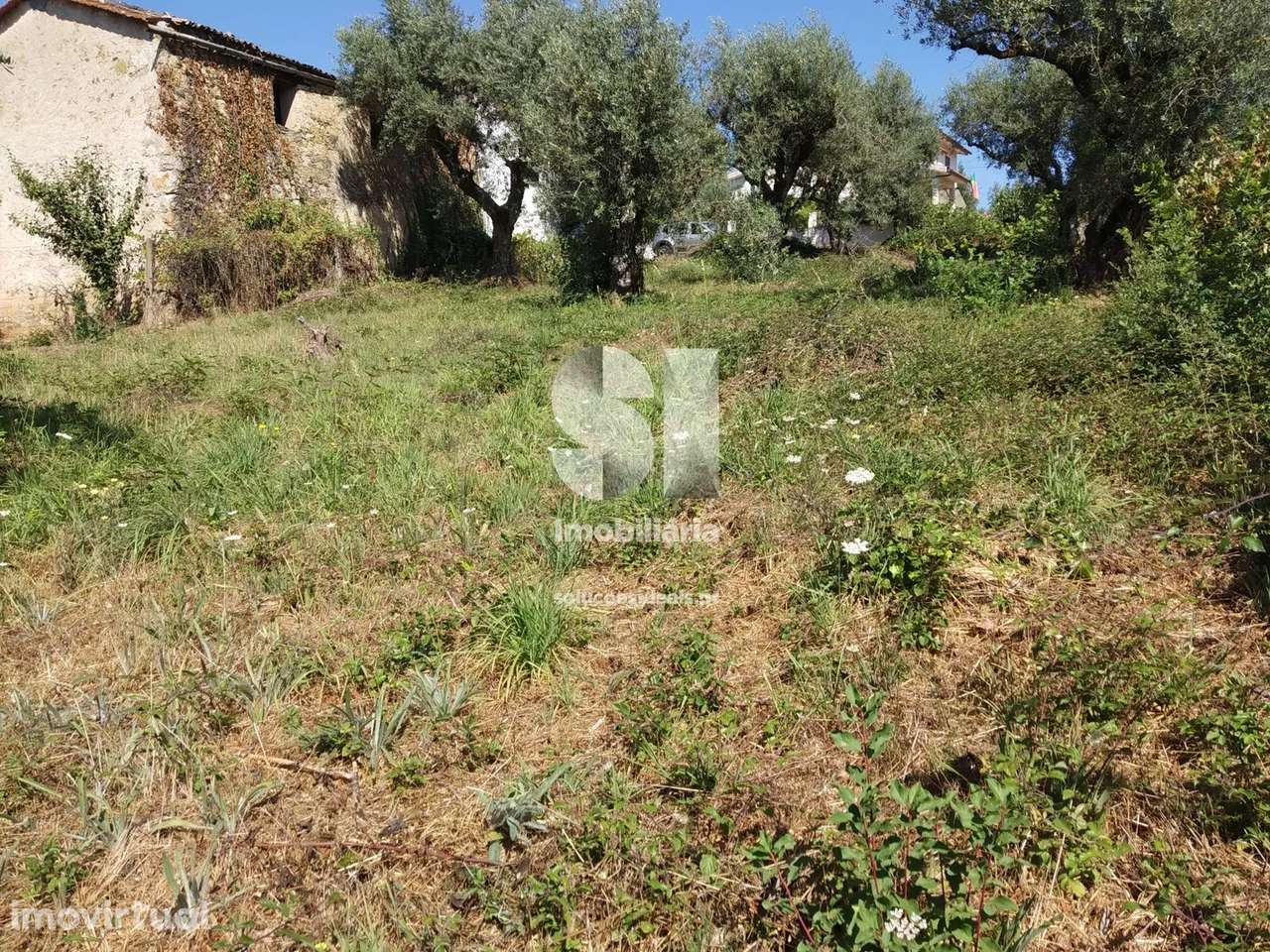 Terreno em Vila nova de poiares - Grande imagem: 4/5