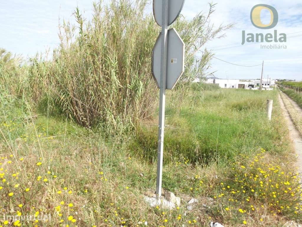 Terreno com 5160 m2 entre Faro e Olhao, perto da 125 - Grande imagem: 2/5