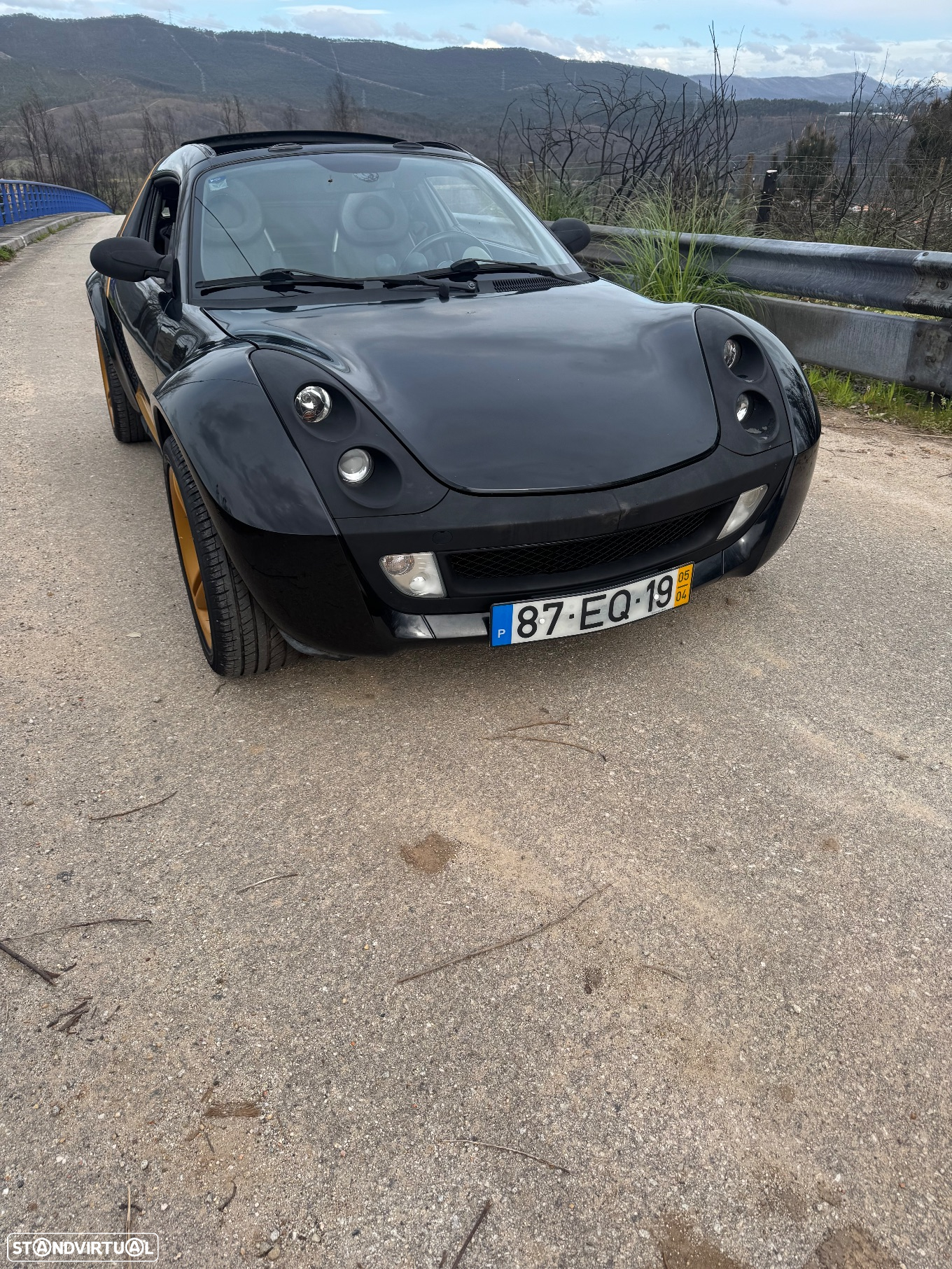 Smart Roadster affection - 3