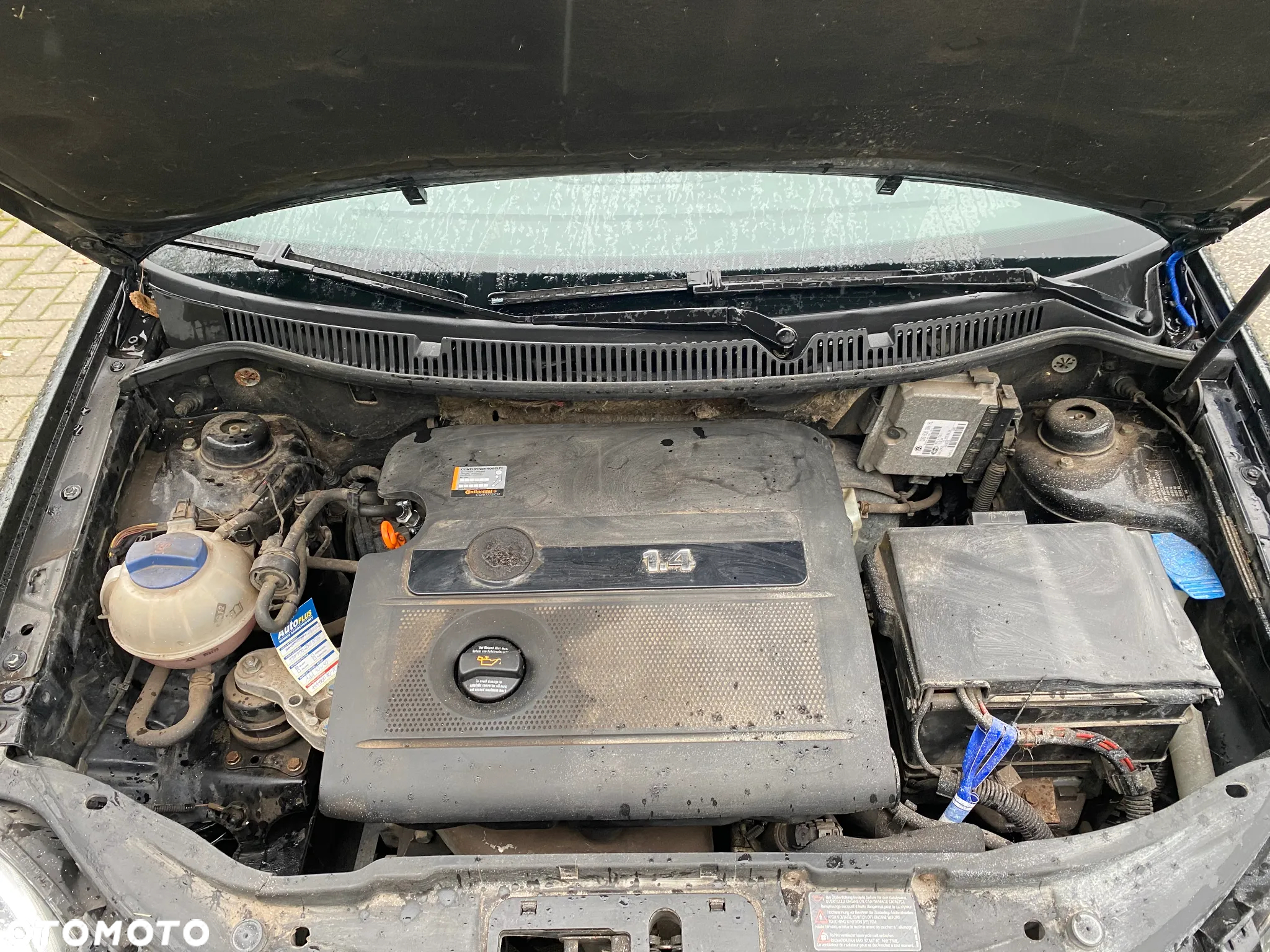 Volkswagen Polo 1.4 16V Basis - 15