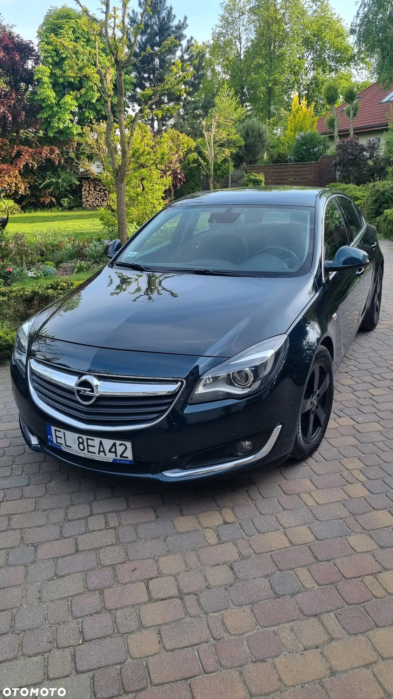 Opel Insignia - 1