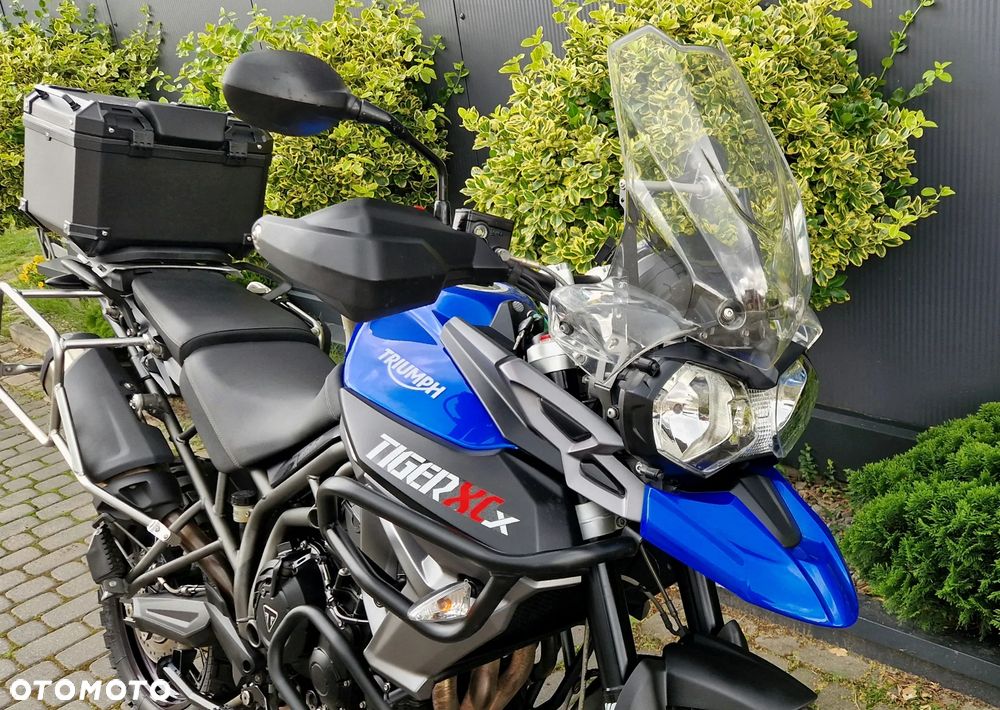 Triumph Tiger - 21