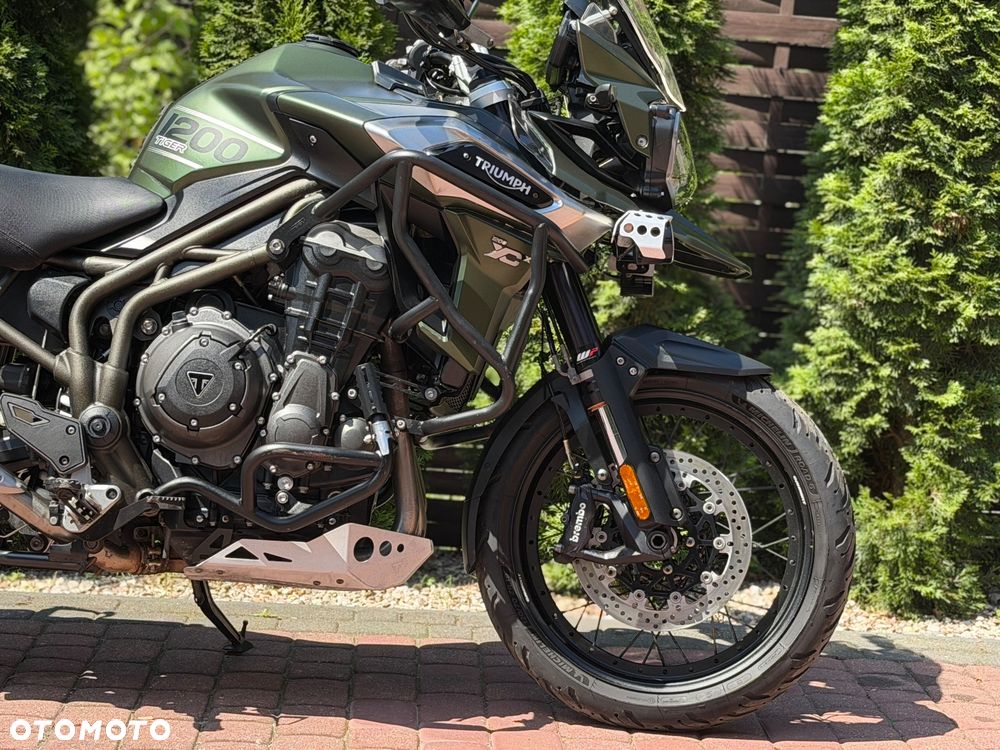 Triumph Tiger - 10