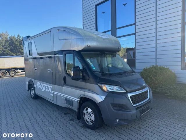 Peugeot BOXER 35, 2.0 HDI - nowy silnik / Koniowóz  / HAGSTED HORSES