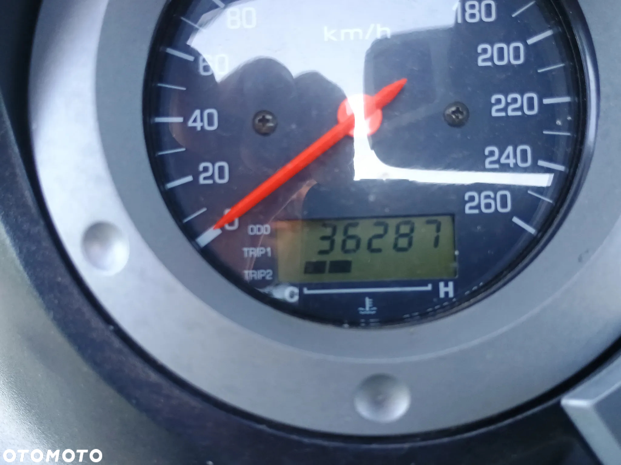 Suzuki DL - 23