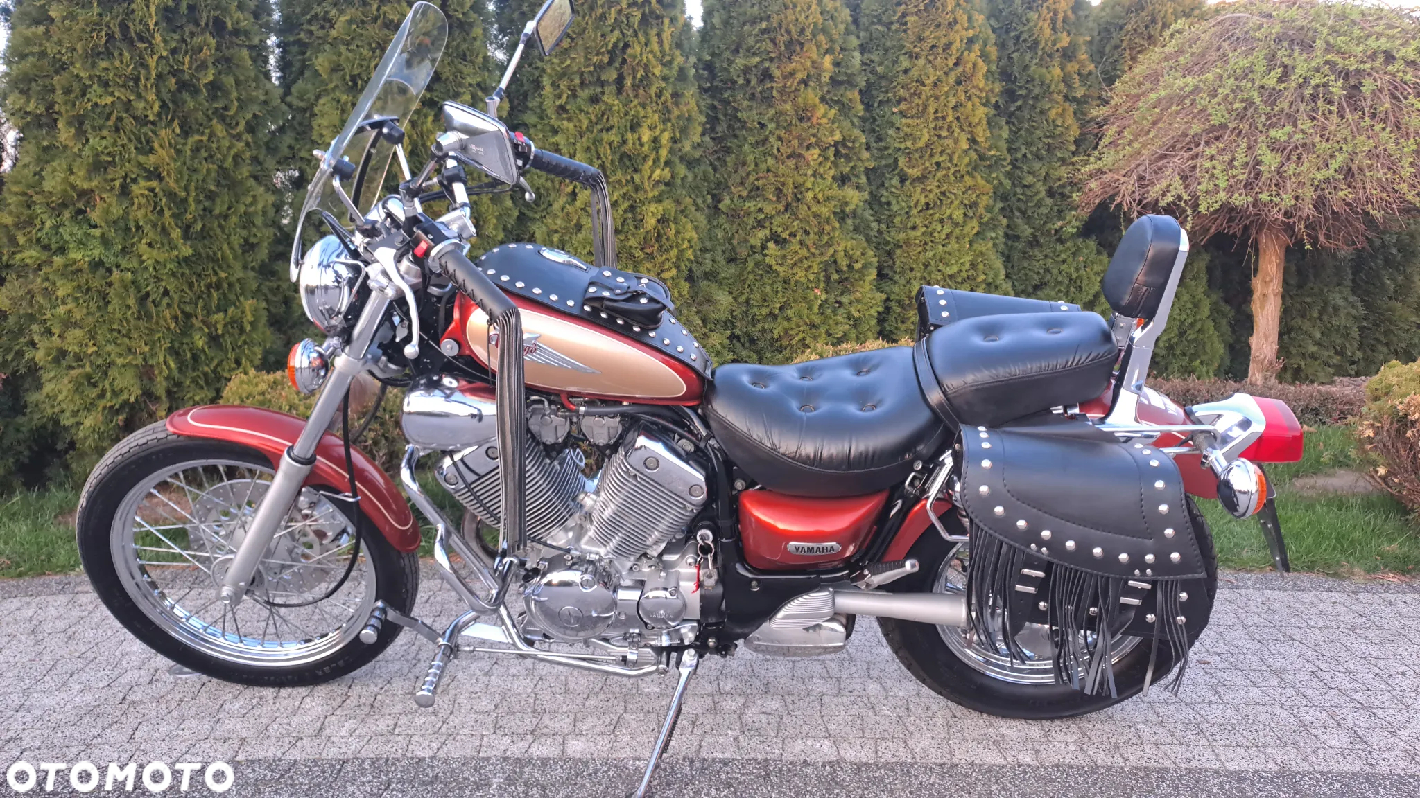 Yamaha Virago - 4