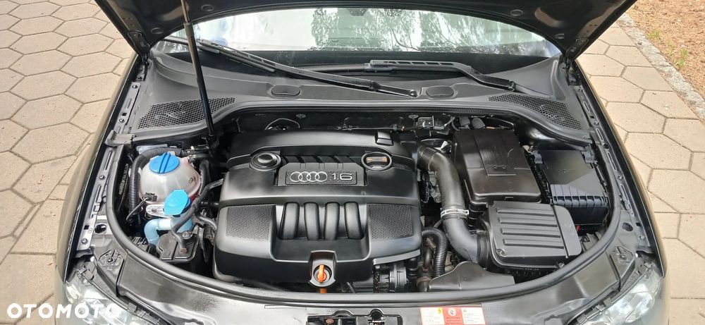 Audi A3 3-drzwiowe 1.6 Attraction - 20