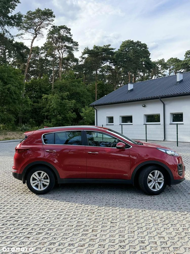 Kia Sportage 1.6 T-GDI Business Line 4WD DCT - 6