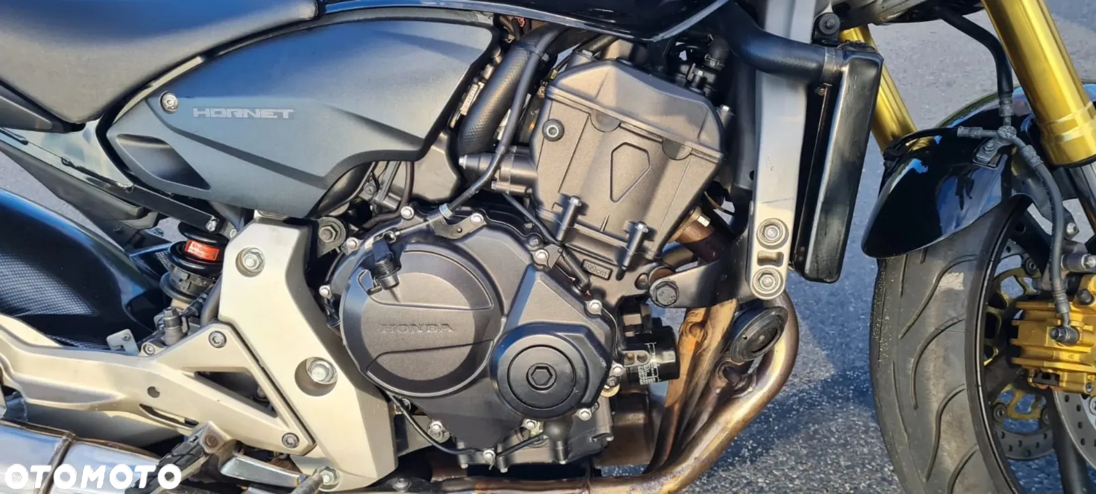 Honda Hornet - 3