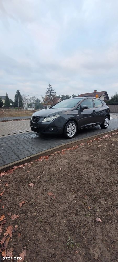 Seat Ibiza - 29