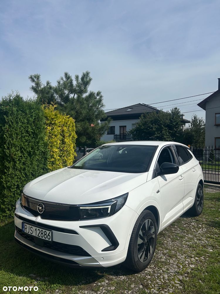 Opel Grandland X - 1