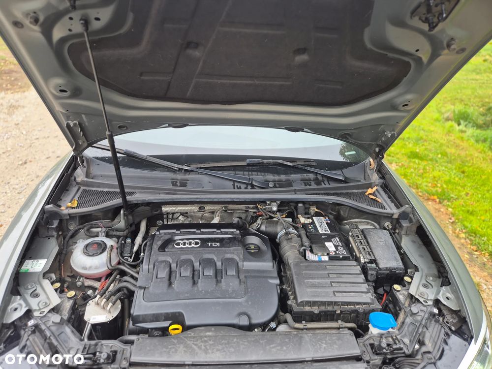 Audi Q3 - 18