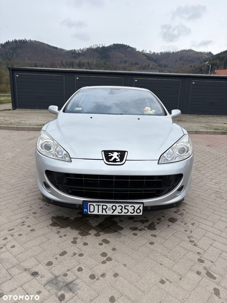 Peugeot 407 165 Platinum - 1