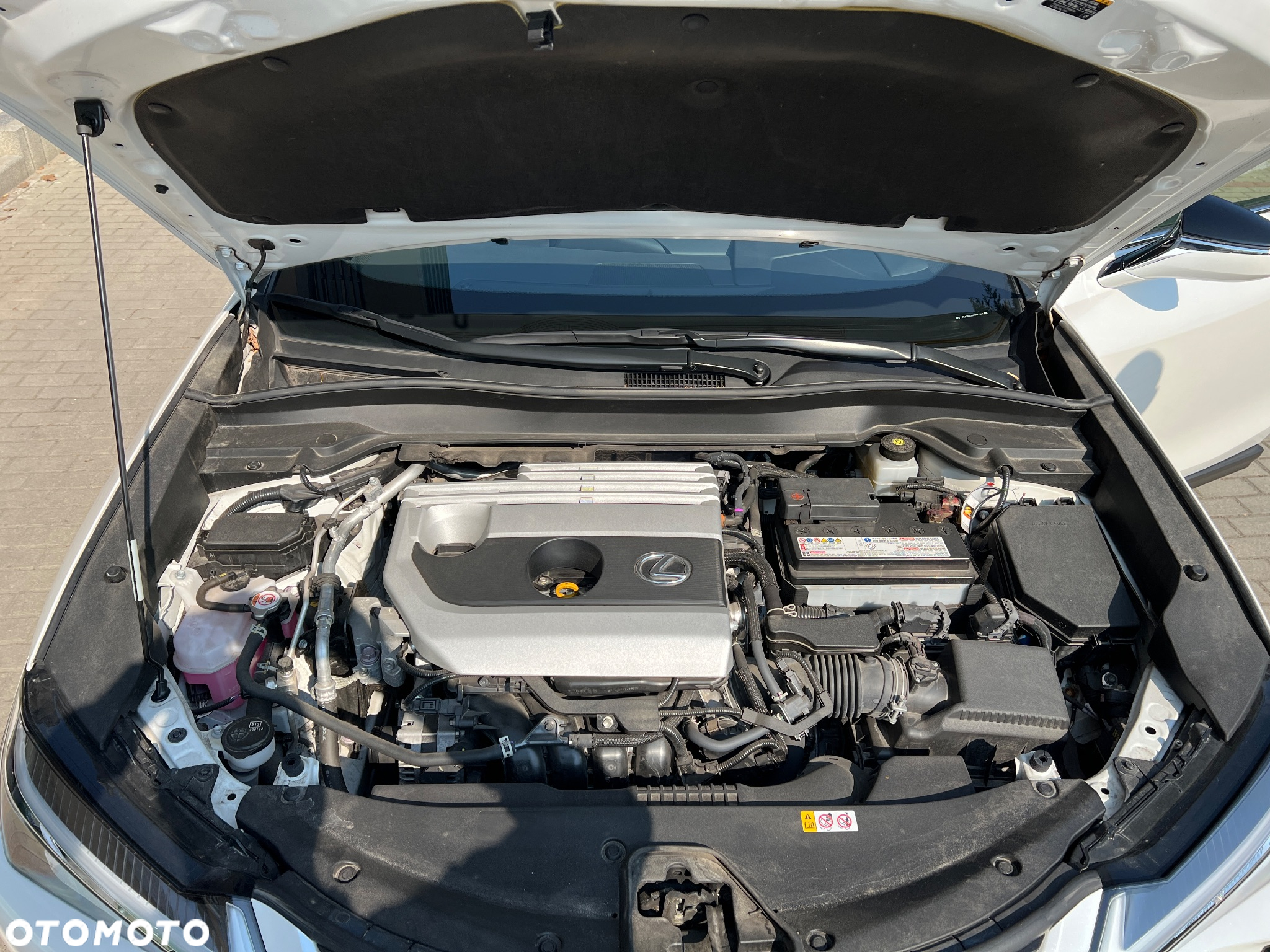 Lexus UX 200 GPF Pure 2WD - 11