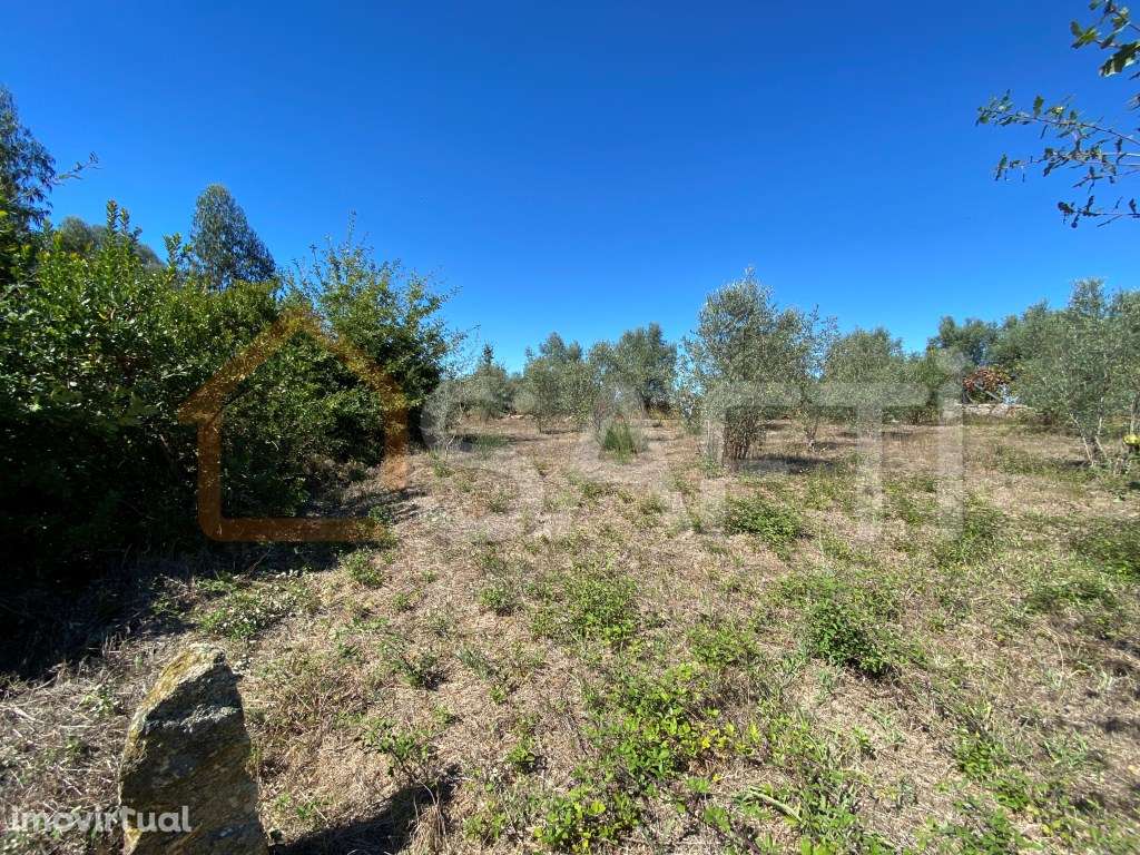 Terreno Rústico em Lajeosa do Dão Tondela Viseu Rio Dão - Grande imagem: 3/12