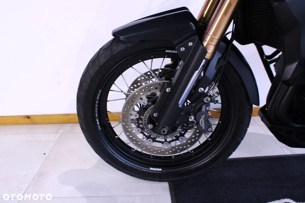 Triumph Tiger - 31