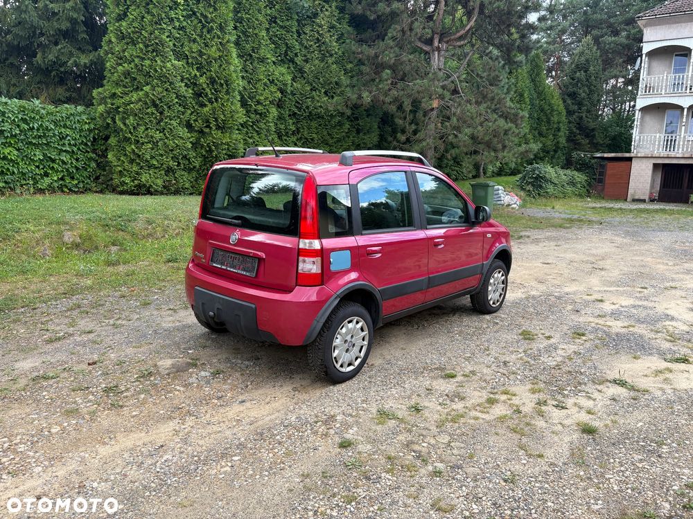 Fiat Panda 1.2 4x4 Classic - 5