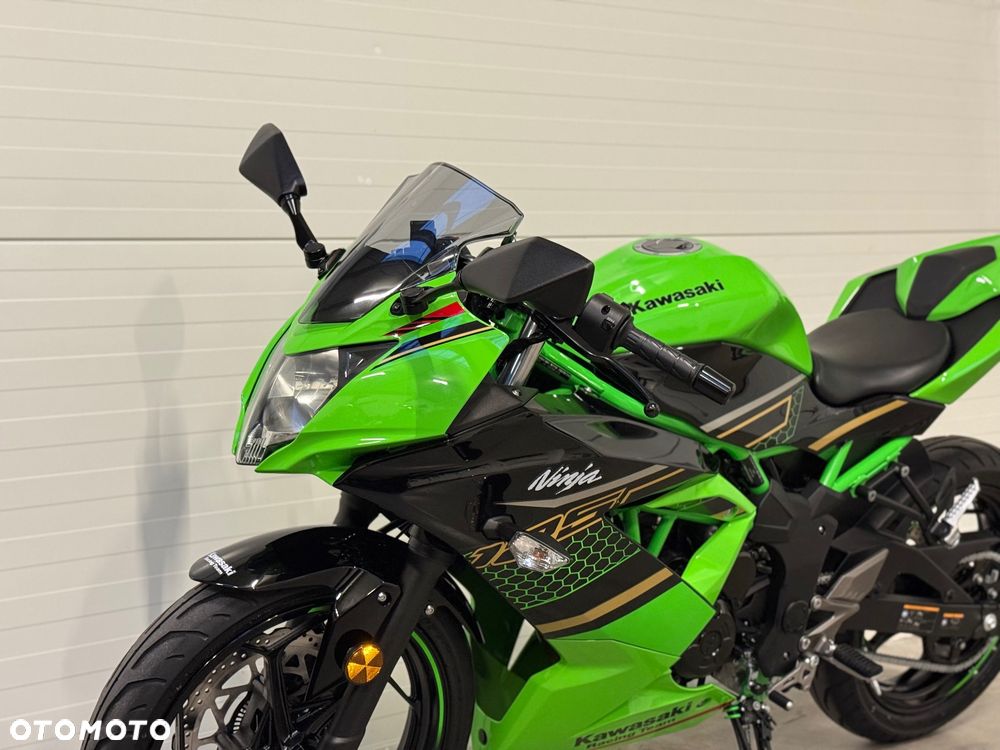 Kawasaki Ninja - 22