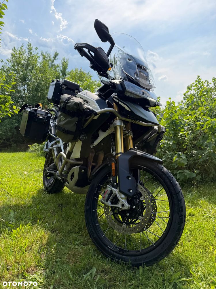 Triumph Tiger - 6