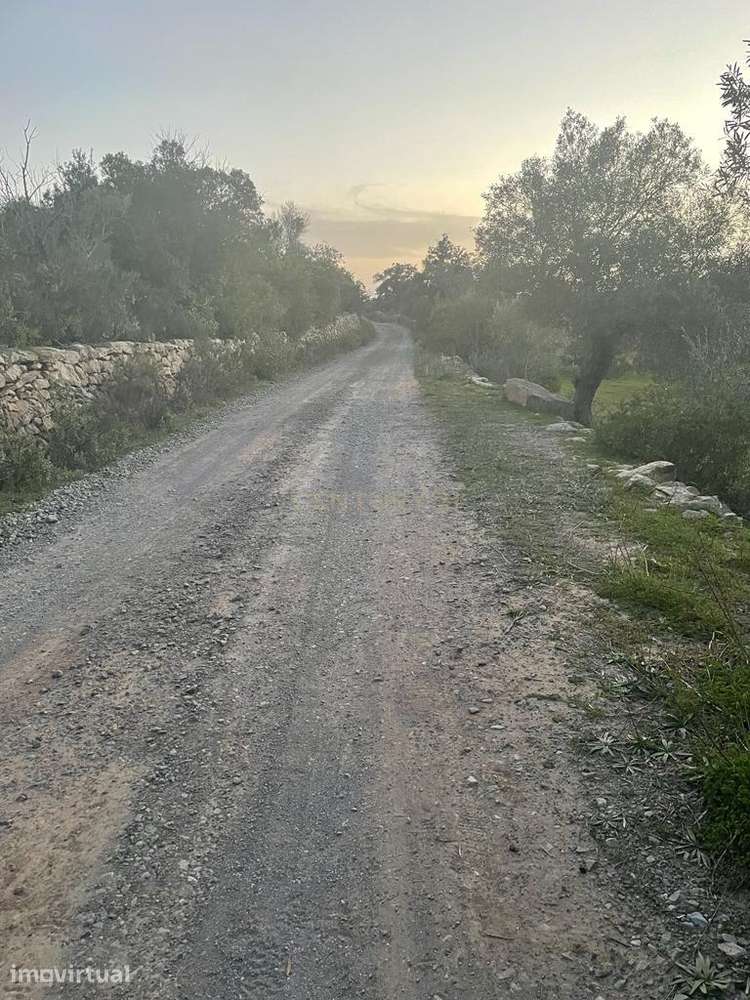 Terreno rústico de 6.120 m2 no Algarve - Grande imagem: 5/6
