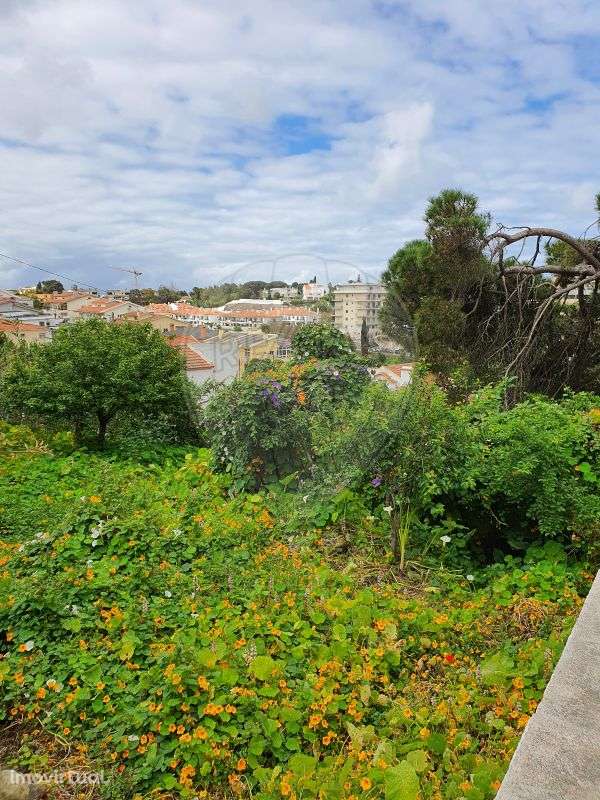 Moradia T9 para venda - Grande imagem: 2/5