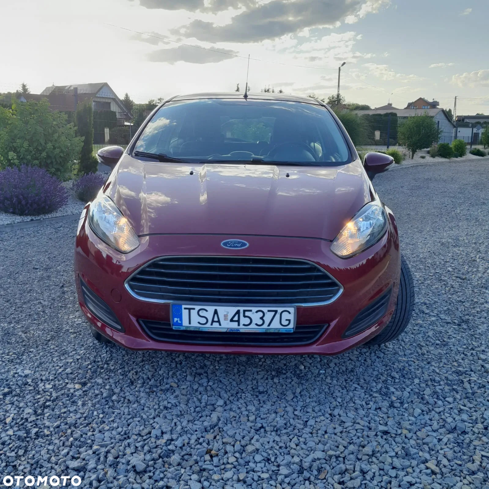 Ford Fiesta - 3
