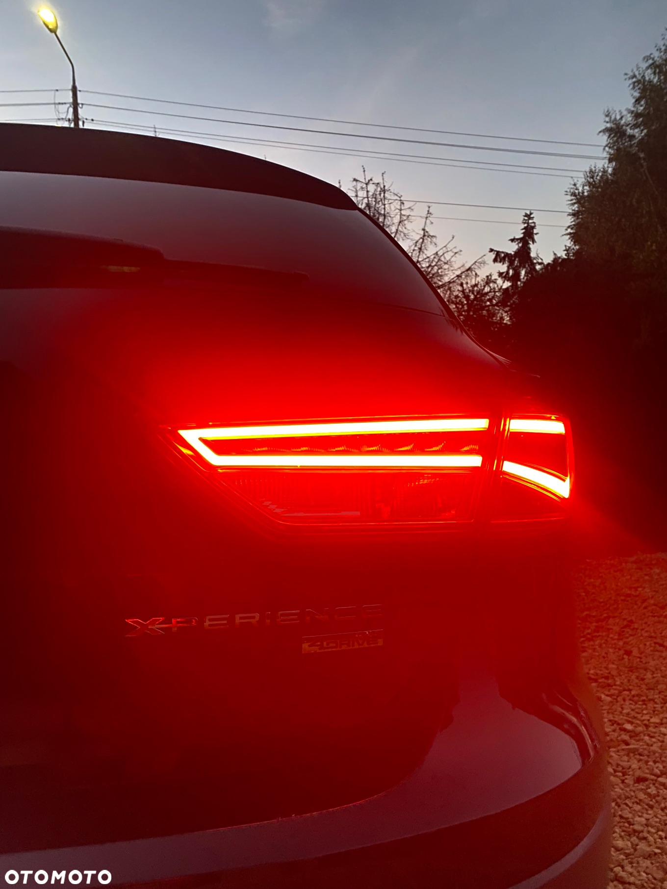 Seat Leon - 25