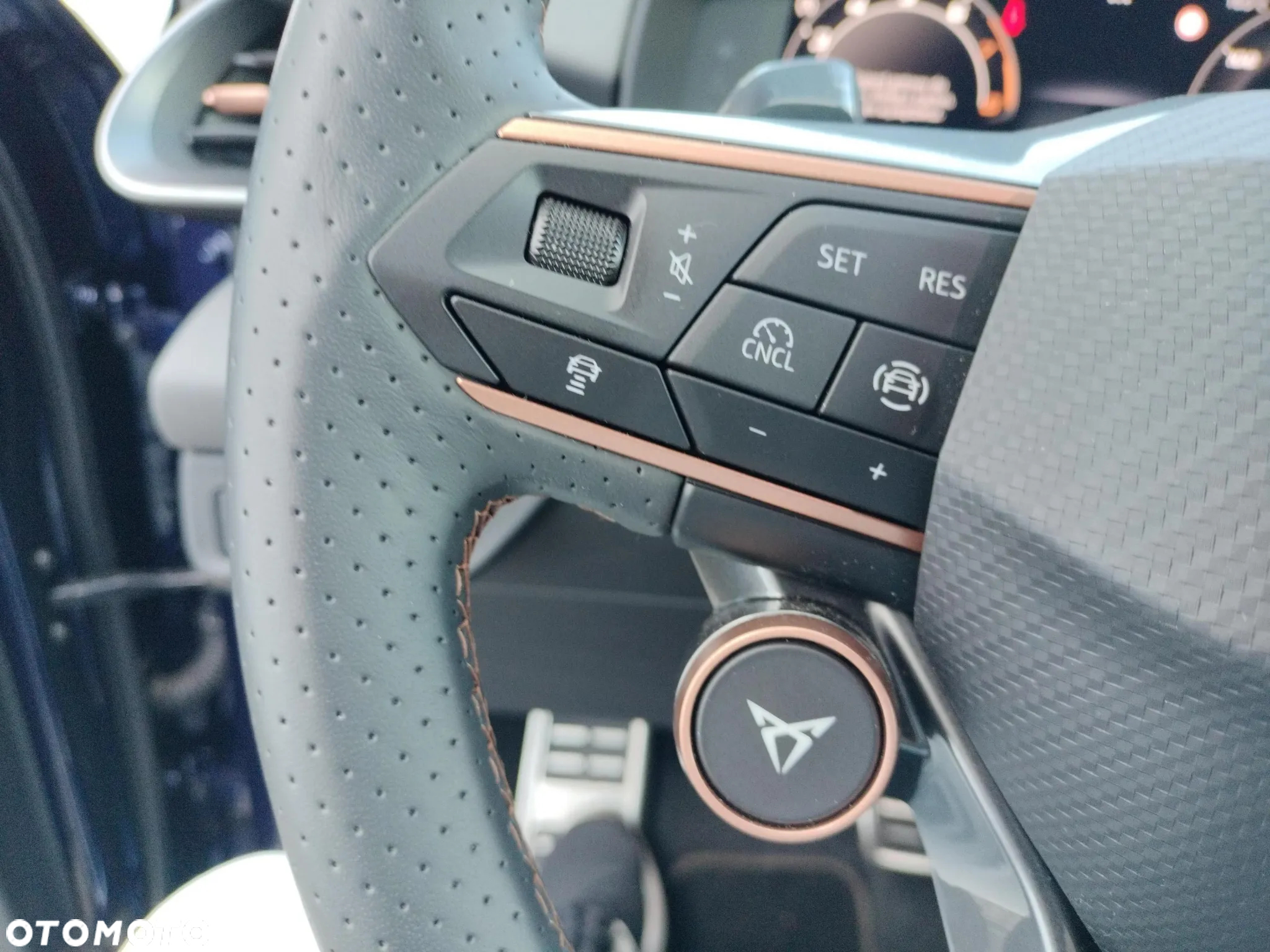 Cupra Terramar 2.0 TSI 4Drive VZ DSG - 25