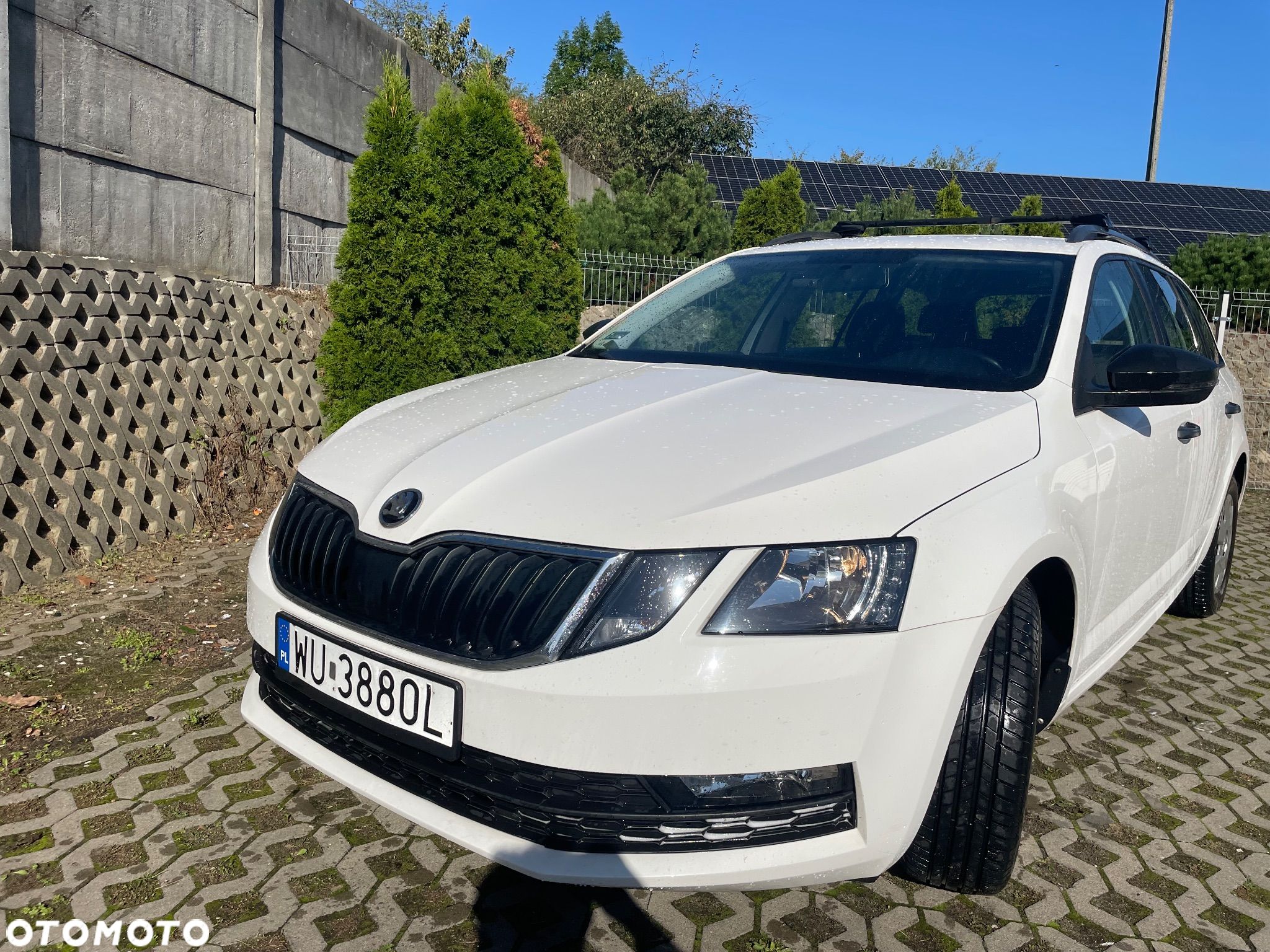 Skoda Octavia 1.6 TDI Active - 1