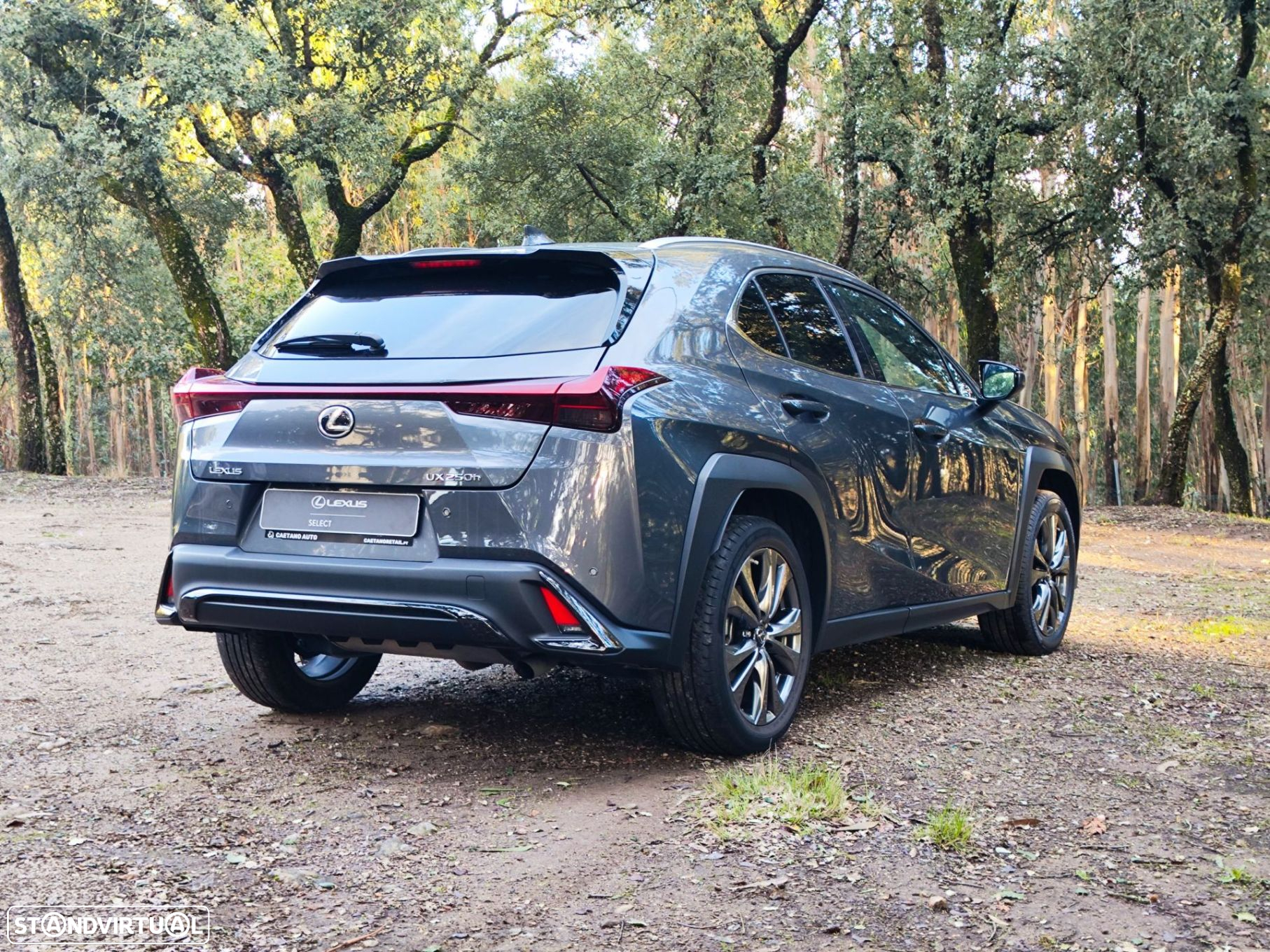 Lexus UX 250h Sport (Ecrã 12.3) - 5