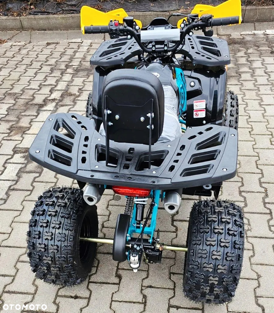 Barton Raptor - 4