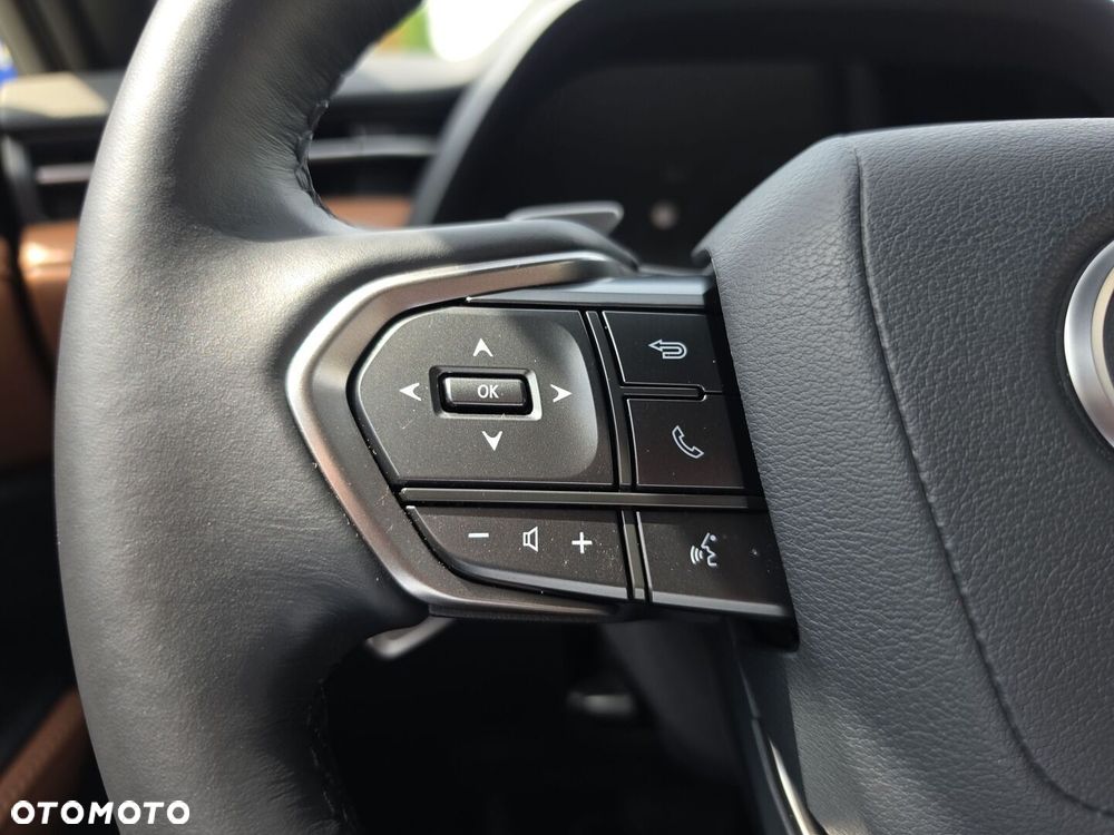 Lexus LBX 1.5 Hybrid Relax - 13