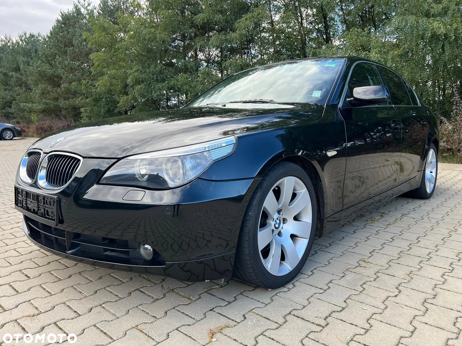BMW Seria 5 530d - 4