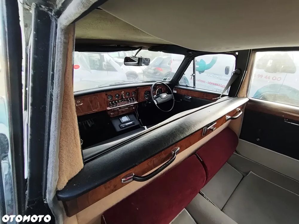 Jaguar Inny - 4