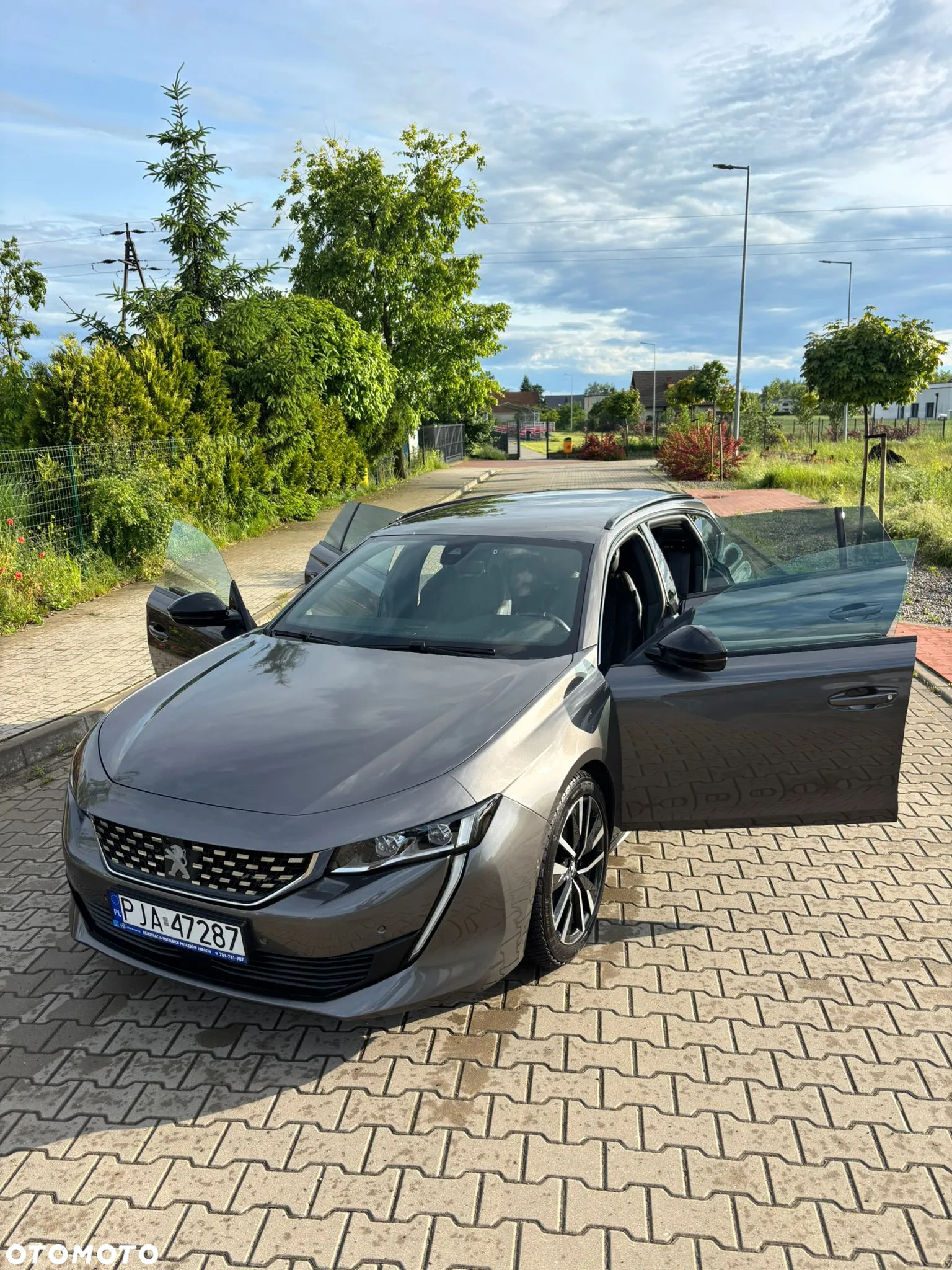 Peugeot 508 1.5 BlueHDi GT Line S&S EAT8 - 20