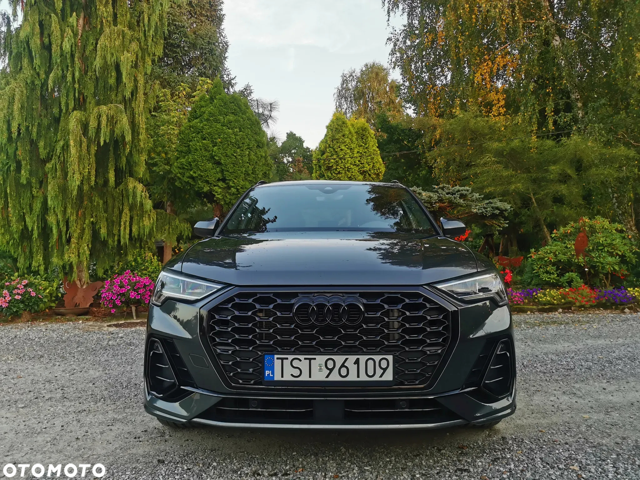 Audi Q3 45 TFSI e S Line S tronic - 5