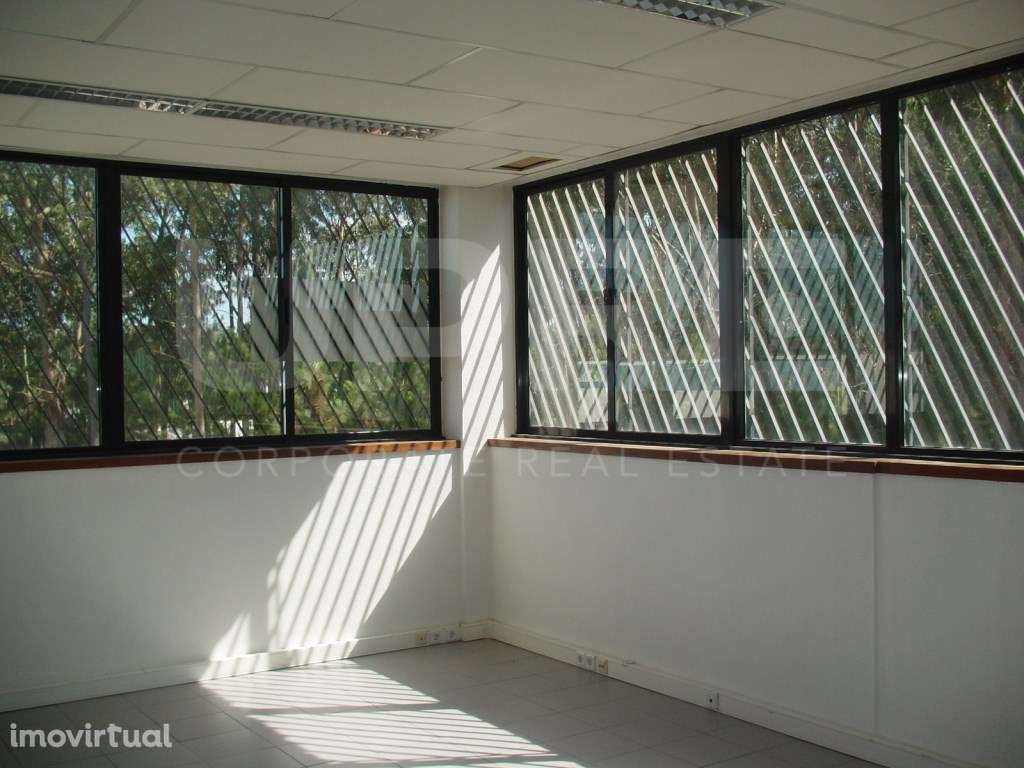 ARRENDA | Armazém | Maia (VN Telha) - Grande imagem: 4/15